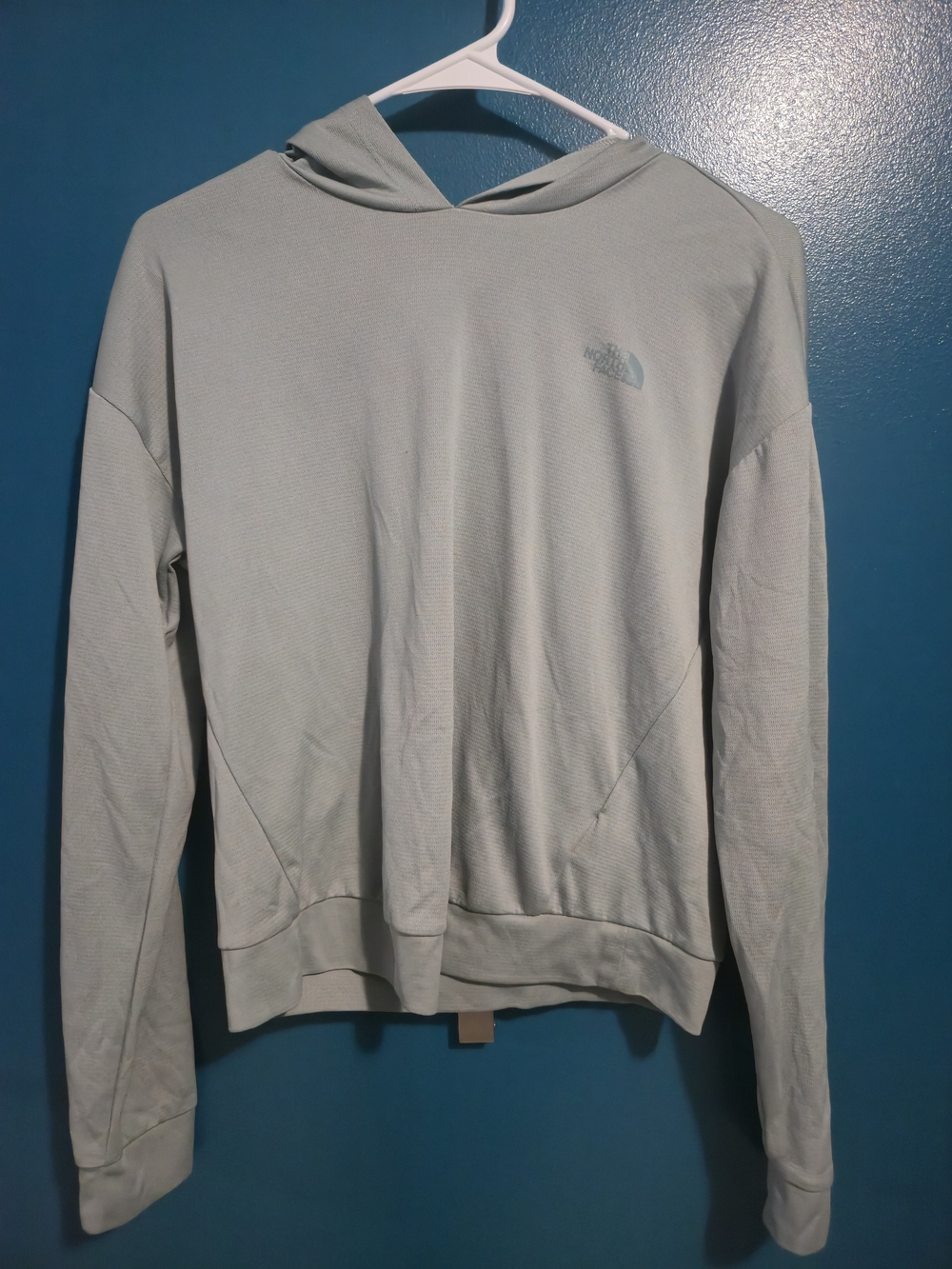 The North Face Women’s Hooded Performance Top